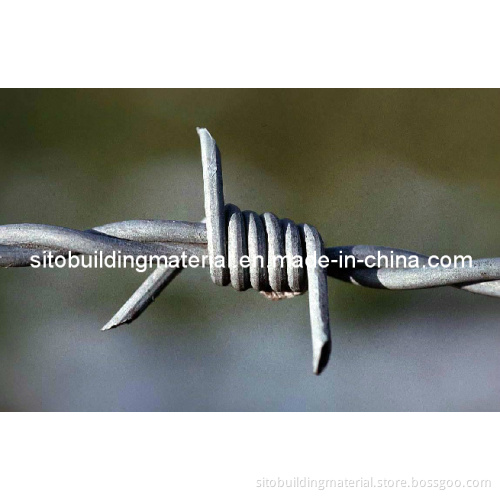 Barbed Wire Mesh/Iron Barbed Wire/Barbed Wire Mesh/Galvanized Barbed Wire